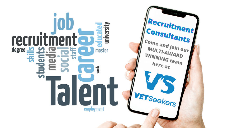 We Are Hireing Recruitment Consultants